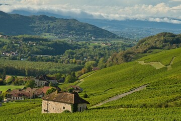 Fototapeta na wymiar Landschaft bei Jongieux in Savoie in Frankreich