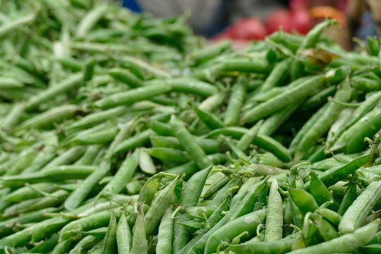 Fresh green peas  in market of Udaipur