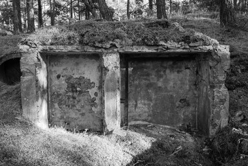 Obraz premium Stary, powojenny bunkier w lesie