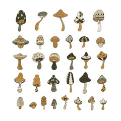 Colored mushrooms funny crazy vector set. Magic mushrooms on a white background.