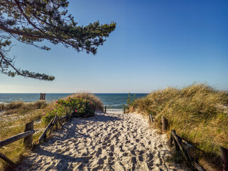 Baltic Sea beach entrance in summer