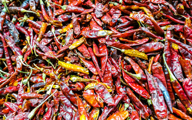 Buy dried chilies and pepperonis in Playa del Carmen Mexico.