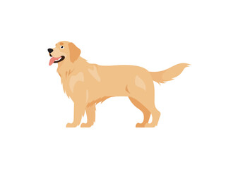 Happy Golden Retriever, pedigree dog, side view, Icon Isolated Sign Flat Style Vector Illustration Symbol on White Background