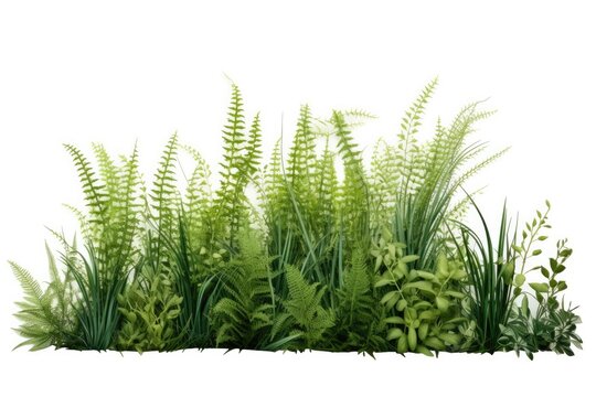 A lush underwater aquarium filled with vibrant fish, surrounded by aquatic plants and creating a colorful and tranquil scene.