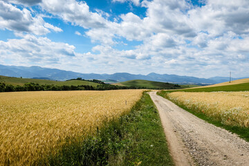 Walking trail leading through the fields in Liptov, Slovakia