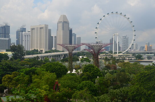 Measuring between 25 and 50 metres tall, Gardens by the Bay's Supertrees are designed with large canopies that provide shade in the day in Singapore.