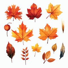 A collection of autumn leaves
