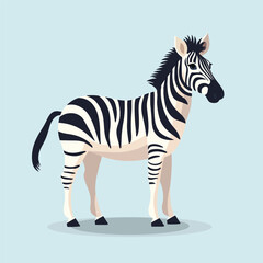 Fototapeta na wymiar A simple zebra illustration