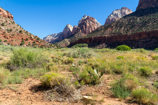 landscape, travel, zion, canyon, utah, hike, hiking, sky, park, national, view, mountain, rock, scenic, wild, valley, outdoor, peak, nature, natural, trail, sandstone, tourism, cliff, usa, river, suns