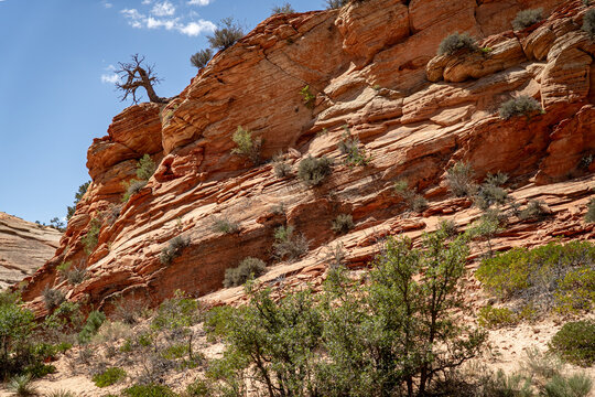 landscape, travel, zion, canyon, utah, hike, hiking, sky, park, national, view, mountain, rock, scenic, wild, valley, outdoor, peak, nature, natural, trail, sandstone, tourism, cliff, usa, river, suns