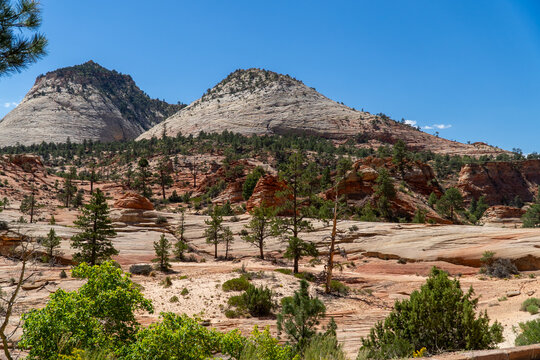landscape, travel, zion, canyon, utah, hike, hiking, sky, park, national, view, mountain, rock, scenic, wild, valley, outdoor, peak, nature, natural, trail, sandstone, tourism, cliff, usa, river, suns