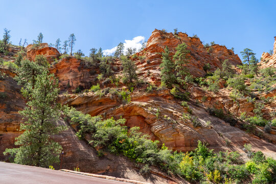 landscape, travel, zion, canyon, utah, hike, hiking, sky, park, national, view, mountain, rock, scenic, wild, valley, outdoor, peak, nature, natural, trail, sandstone, tourism, cliff, usa, river, suns