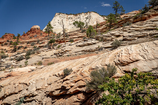 landscape, travel, zion, canyon, utah, hike, hiking, sky, park, national, view, mountain, rock, scenic, wild, valley, outdoor, peak, nature, natural, trail, sandstone, tourism, cliff, usa, river, suns