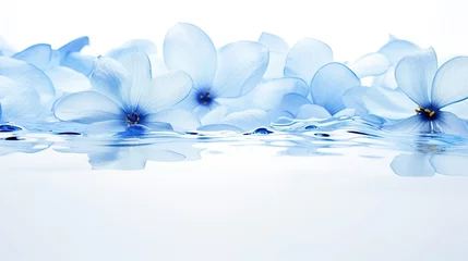 Fotobehang light colored flowers floating on water on a white background with copy space © NAITZTOYA