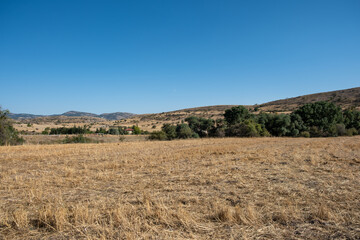 A general field area in the north of Ankara.