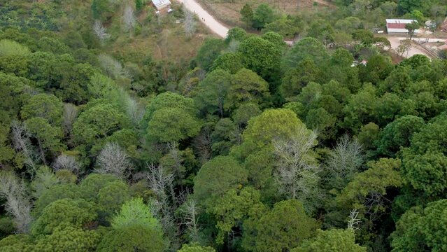 Aerial view over a small traditional rural town named Santa Ana, in La Paz department in Honduras 