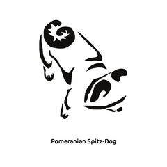 A set of different poses of the stylized Pomeranian. Vector drawing of a small dog. Gestalt animal design