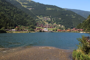 natural forest lake landscape photo