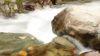 photo of stream in natural forest