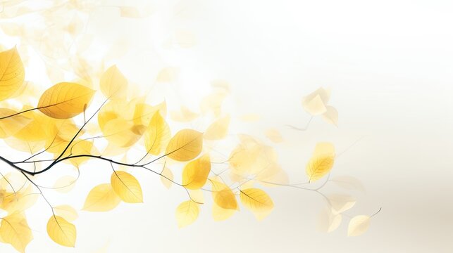 isolated leaves reflections on calm water with white background and copy space