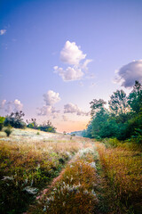 “Fairy-Tale Dawn: Soft, Dreamy Clouds Painting a Beautiful Morning Sky