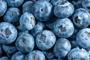Fresh blueberry group top view