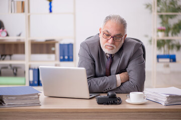 Fototapeta premium Old male employee working in the office