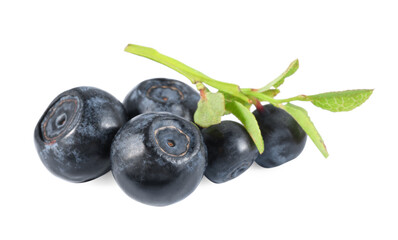 Delicious ripe bilberries and green leaves isolated on white
