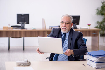 Old male employee working in the office