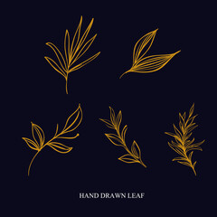 Illustration vector graphic of  hand drawn floral leaf element set