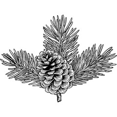 Fir leaves with pine cone christmas ornament hand drawn sketch illustration