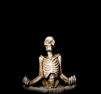 Yoga Skeleton in Meditation pose Halloween decoration