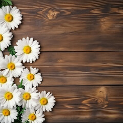 Daisies on a dark brown wooden board, aerial image, flat