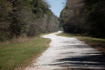 Gravel Road Cutting through a Forest