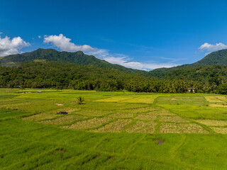 Fototapeta na wymiar Agricultural land in mountainside of Camiguin Island. Philippines.