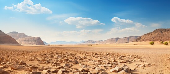 Hiking in the dry hot Israeli desert with a mountain to climb and a sunny day - obrazy, fototapety, plakaty