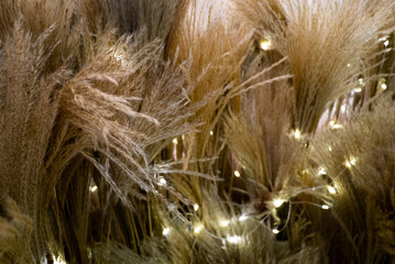 dried flower golden reed with led light