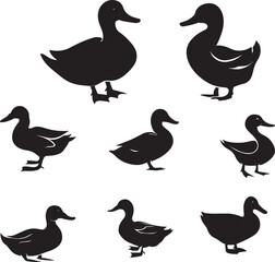 Duck vector silhouette Illustration black color