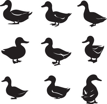 Duck vector silhouette Illustration black color