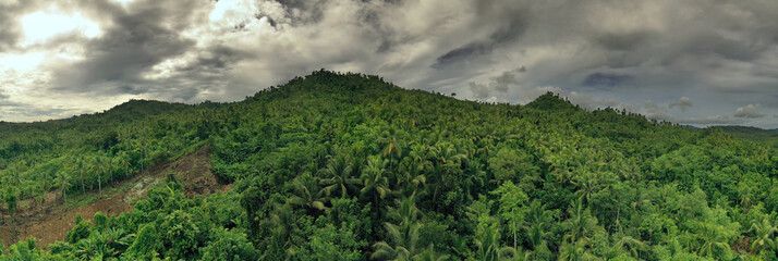 Fototapeta na wymiar Panoramic aerial view over the jungle landscapes and terrain of Mindanao in the Philippines. 