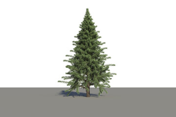 Digital png illustration of christmas tree on transparent background