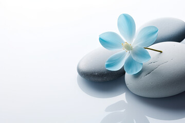 Fototapeta na wymiar zen stones and blue orchid flower banner 