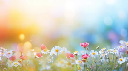 Deurstickers Colorful flower meadow with sunbeams and bokeh lights in summer - nature background banner with copy space - summer greeting card wildflowers spring concept © Brynjar
