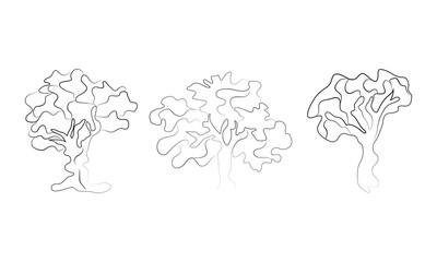 Line art various trunks and foliage of plants, forest trees. Sketch style, line hand drawing. tree Illustration. Line and silhouette of trees isolated