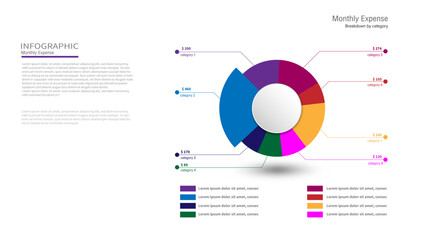 Pie Chart Infographic, Money Expense Process Infographic Template
