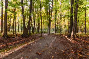 Beautiful Fall moment in Quebec, Canada