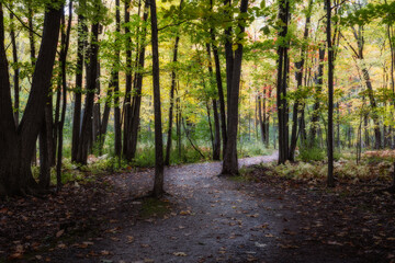 Naklejka premium Beautiful Fall moment in Quebec, Canada