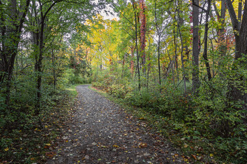 Beautiful Fall moment in Quebec, Canada