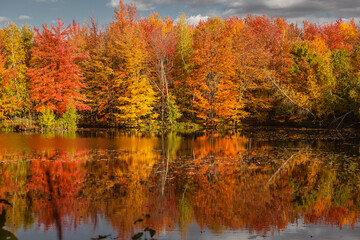 Beautiful Fall moment in Quebec, Canada