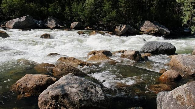Video of Altai river Chulyshman. On the river banks there is siberian larch taiga forest. Boulders are on foreground
